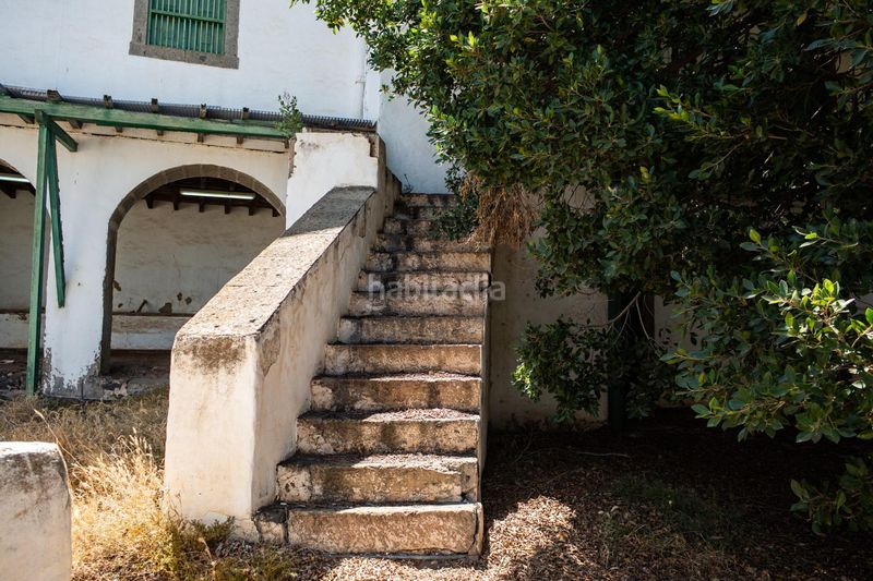 Foto efcb6e0a-d749-45f6-908d-7bcaab1193e1. Country house in calle calle poeta juan nuez 19 in Ingenio