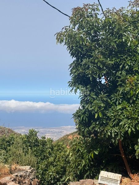 Foto b10fa296-df59-445f-bbc2-4d5c65943624. Mas dans Valle de los Nueve - El Ejido - Medianías Telde