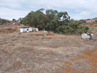 Rent Rural plot in Camino mocan 3. Se alquila terreno rústico de casi 5.000 m² en la esperanza. tot