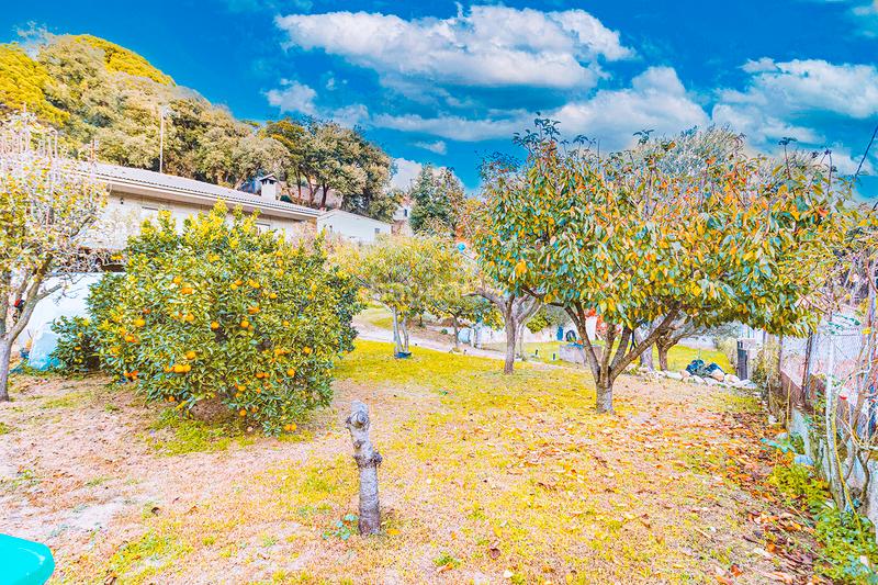 Foto ab951793-60ad-40bf-89ec-bfa16d8f6157. Maison avec cheminée parking piscine dans Niàgara Parc -Àgora Parc Tordera
