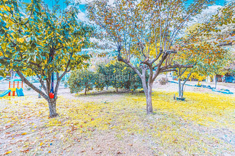 Foto ec8b04b4-bb61-4144-8297-25a7b1bcc98a. Maison avec cheminée parking piscine dans Niàgara Parc -Àgora Parc Tordera