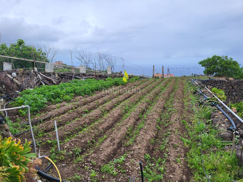 Foto bf2e205a-935a-47ec-a5d6-0c8935bc6076. Casa amb aparcament a La Vega - El Amparo - Cueva del Viento Icod de los Vinos