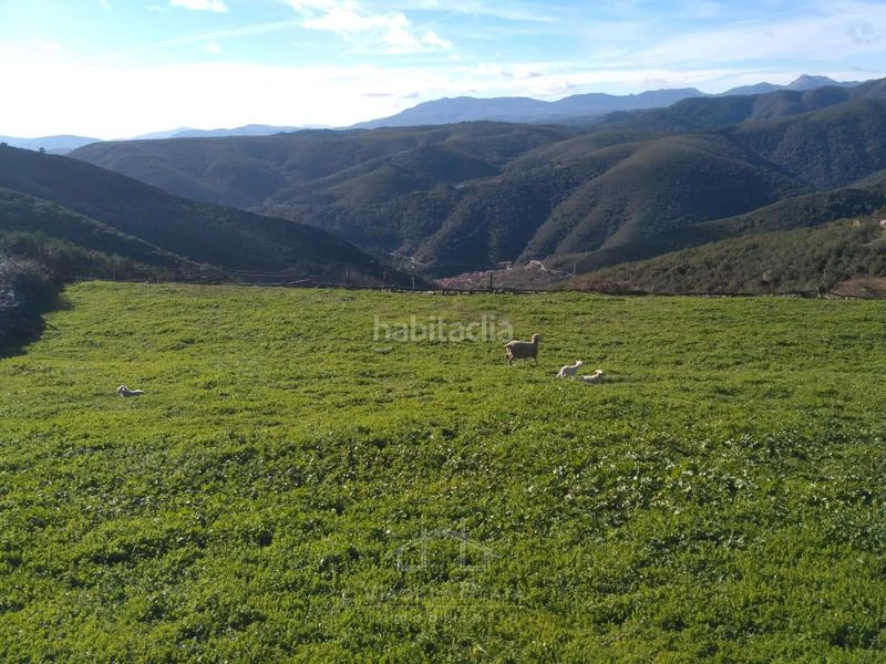 Foto 5c13b94b-e627-455a-85e5-ffe8af0b153e. Finca rústica a 3 a San Miguel de Valero