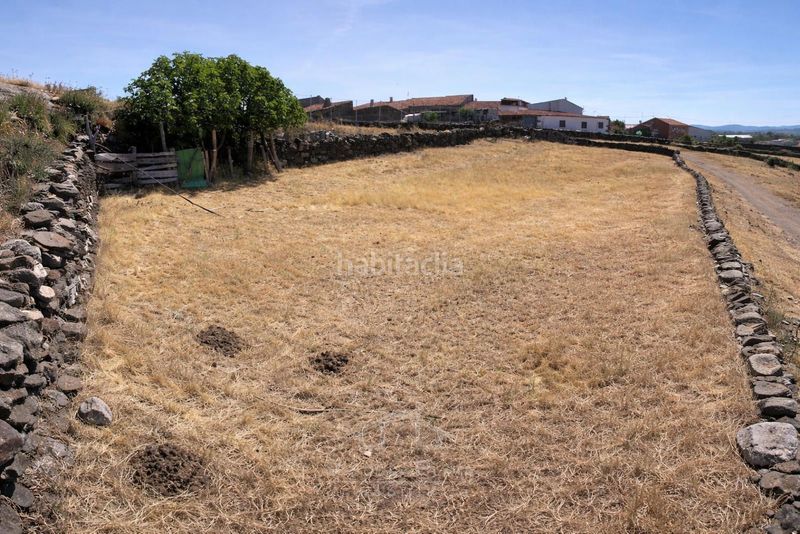 Foto b059d00d-6f3a-489e-899a-c967cba4759f. Finca rústica a 3 a San Miguel de Valero