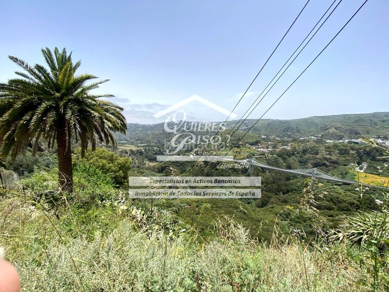 Foto ba1f07ff-8143-4a9d-998e-6358dfe6a02c. Masia a El Palmar Teror