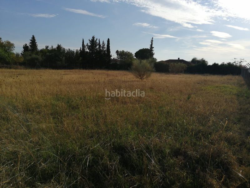 Foto 2d129d9a-9359-457a-911a-fff43bd916ef. Terreny residencial a Carmona