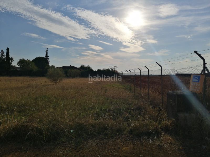 Foto 5a7c0ffb-b0dd-4ce0-a93b-b35846dea909. Terreny residencial a Carmona