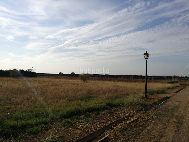 Foto 8e5916c4-d97e-40a9-82e5-0015fa8e304a. Terreny residencial a Carmona