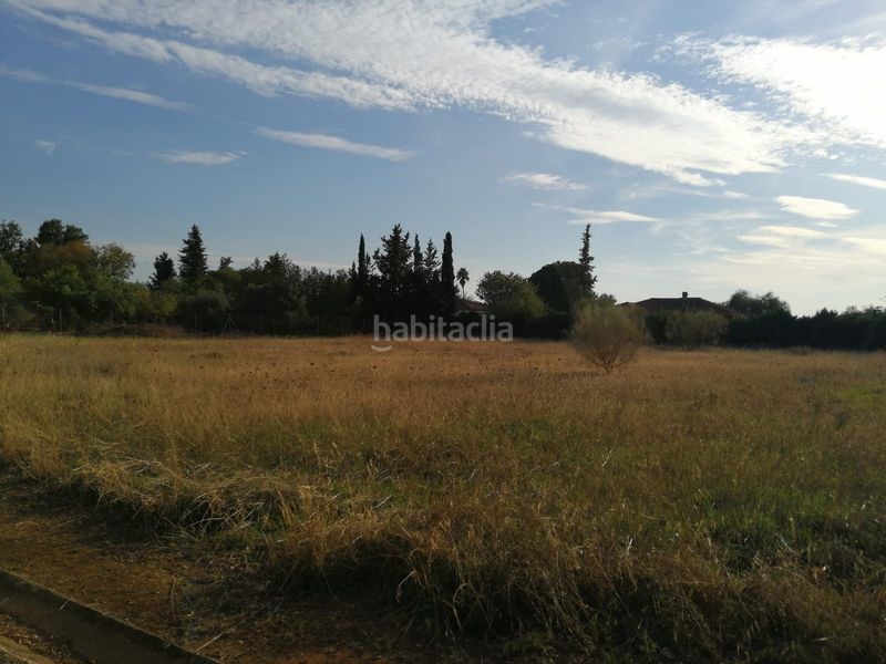 Foto 99170758-08d2-4733-b0bd-91f545109494. Terreny residencial a Carmona