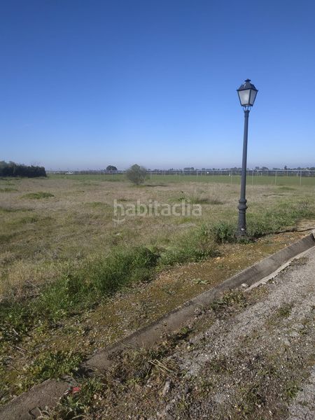 Foto bebeb592-c6bb-4e0e-a61f-e8b417114ac8. Terreny residencial a Carmona