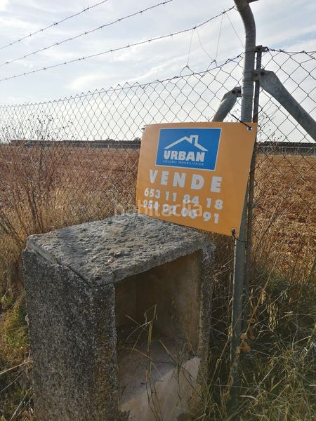 Foto f6e60efc-6104-4192-88e7-cd65af3de34a. Terreny residencial a Carmona