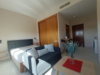 Miete Studiowohnung  Avenida alcalde luis uruñuela. Magnífico estudio con garaje, trastero y piscina junto al palaci
