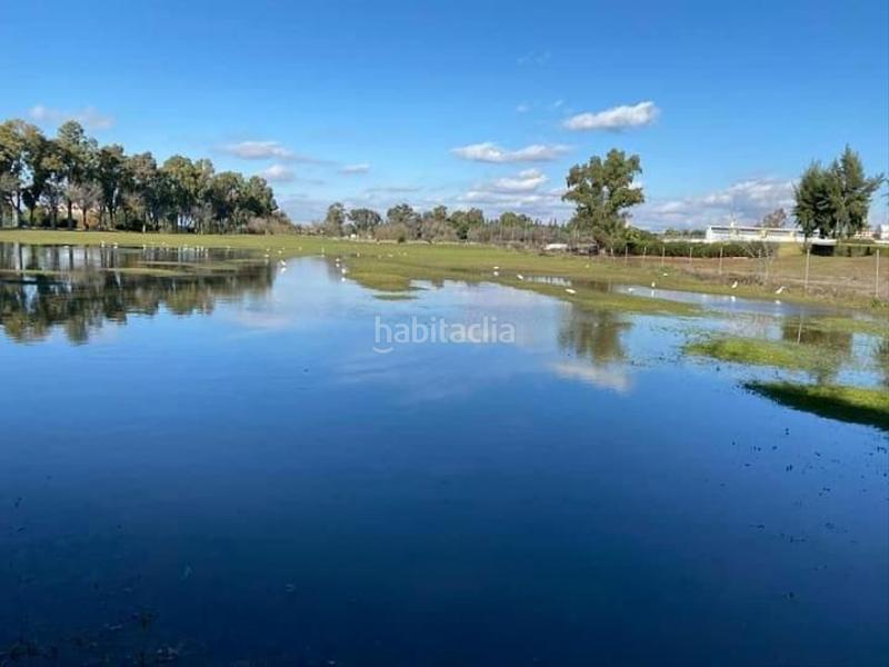 Foto 502cf297-b07e-4413-9fac-fee350653638. Affitto piccolo appartamento con riscaldamento parcheggio piscina in Sevilla
