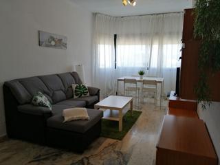 Alquiler Apartamento  Avenida alcalde luis uruñuela