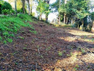 Residential Plot en N/a