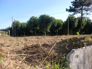 Terreno residenziale  Camiño da igrexa