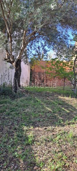 Foto 6af7f16d-aff1-4ae0-a3f4-8bb264e55f02. Wohngrundstück in Vallirana