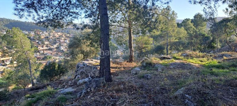 Foto b3d835ff-9bf1-499f-b6fe-6c754585ba0a. Terreno residenziale in bon aire 20 in Vallirana