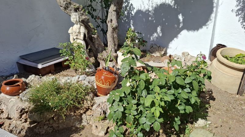 Foto ceb39b37-d2f9-483f-a15f-260f6c27c905. Casa amb calefacció piscina a Vallirana