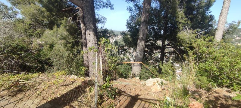 Foto c1d3d6ae-78af-4f63-9548-83421e0a6b72. Terreny residencial a Vallirana