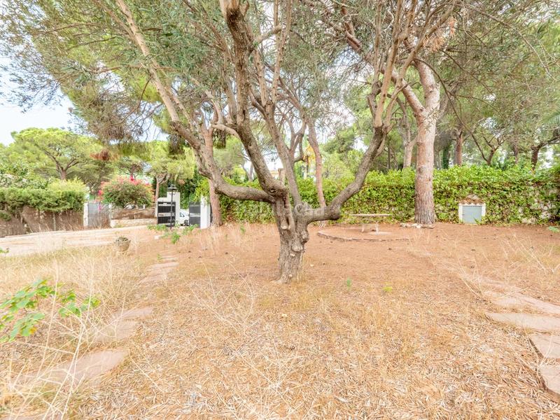 Foto 007005ad-178f-46c1-a5f8-bc0d18cfbb0f. Casa  independiente en campolivar en Godella