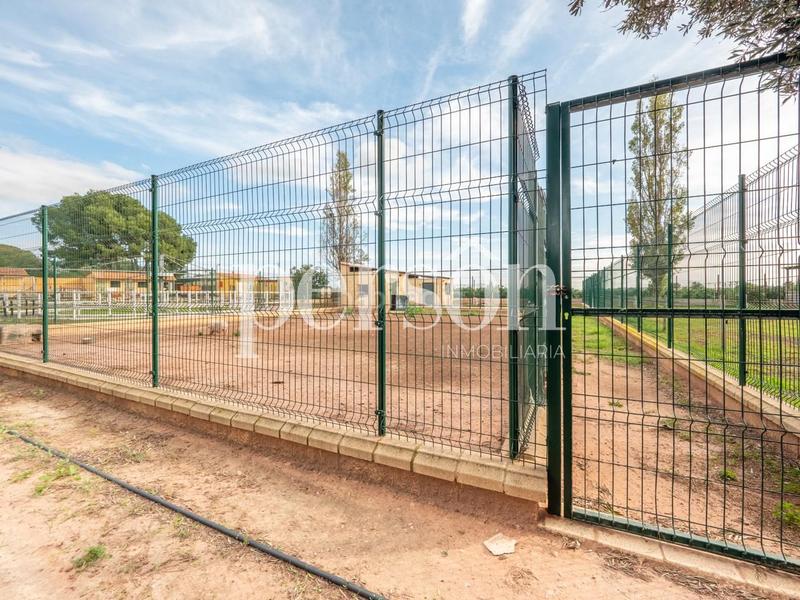 Foto 114be420-0526-481e-a20c-1e898eebdfe5. Masía exclusiva finca en Los Pinares-La Masia Bétera