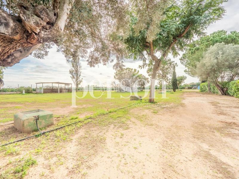Foto 14b1837a-26f8-4db1-bcb7-7c6a908872c5. Masía exclusiva finca en Los Pinares-La Masia Bétera