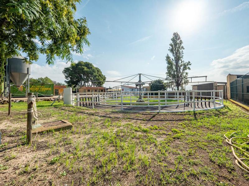 Foto 2a5e6bc9-a2c3-4735-b60b-1e6a4ef70e15. Masía exclusiva finca en Los Pinares-La Masia Bétera