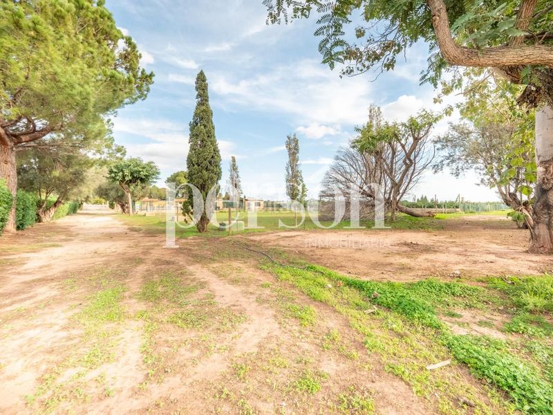 Foto 816d88b7-b10b-40d8-b3c3-ef00bd7b7b1c. Masia amb calefacció piscina a Los Pinares-La Masia Bétera
