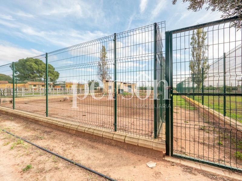 Foto 8a1fb2e7-3dff-4c3d-a4fa-ac849fa4246d. Masia amb calefacció piscina a Los Pinares-La Masia Bétera