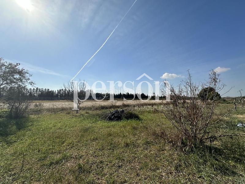 Foto 02b80a8f-3029-417f-8a0a-dee57ee8c008. Finca rústica a El Puig El Puig de Santa Maria