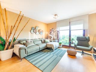 Pis  Carrer ernesto che guevara. Exclusiva vivienda con vistas al parque