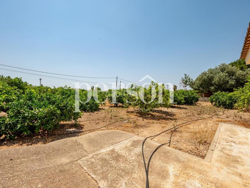 Foto d00a78df-037a-41a2-8de6-65874d84a232. Alquiler casa alquiler chalet urbanización lliria en Llíria