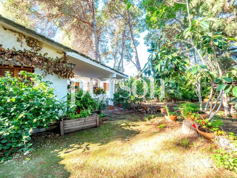 Foto 4fb5b1e8-fd25-43fe-9441-27bf1d817709. Casa chalet en Centro Bétera