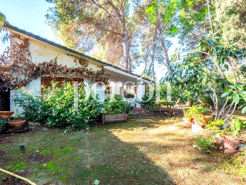 Foto 57065348-bf86-48bb-82ff-e5f40671f703. Casa chalet en Centro Bétera