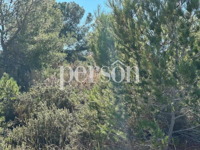 Foto 2b3935cb-6623-4cc0-8cd8-6d321735d0a8. Terreno residencial terreno de 1851 metros cuadrados en Bétera