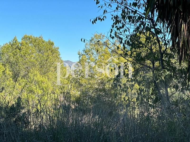 Foto 7834ab47-2274-4454-95f8-debad6a22587. Terreno residencial terreno de 1851 metros cuadrados en Bétera