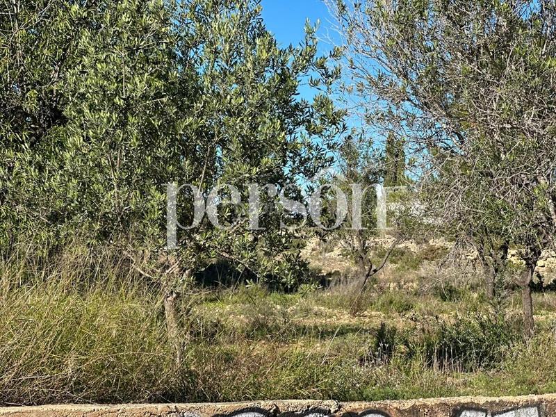 Foto b0df6862-e39a-4796-881f-6fccc14463aa. Terreno residencial terreno de 1851 metros cuadrados en Bétera