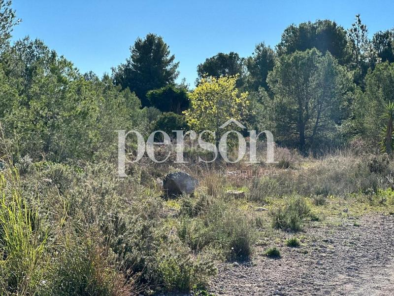 Foto cca39db7-a829-4312-9997-5e29f27c6521. Terreno residencial terreno de 1851 metros cuadrados en Bétera