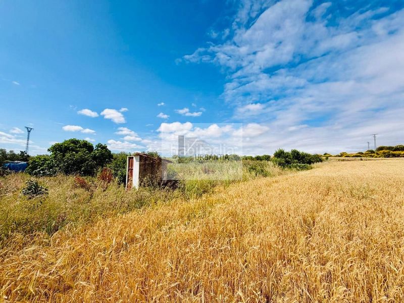 Foto 0c72ba81-42ef-424a-8673-72157a572046. Finca rústica a Allo