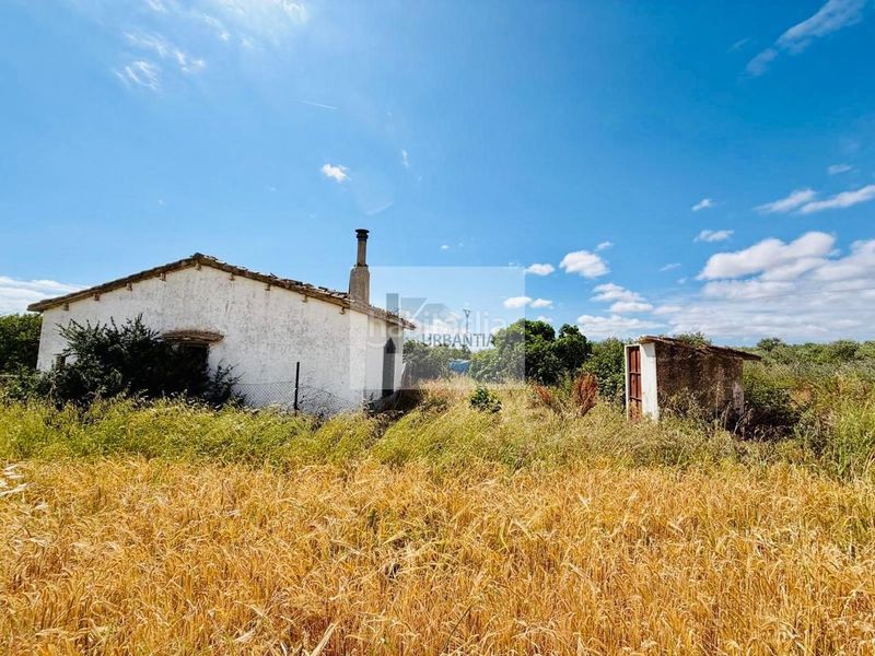 Foto 51a32e9b-fb55-464c-b7ac-5e39e99dd162. Finca rústica a Allo