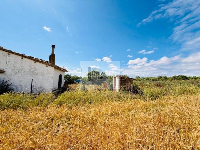 Foto a016c56e-a98f-4003-9dec-17edad45ab1e. Finca rústica a Allo