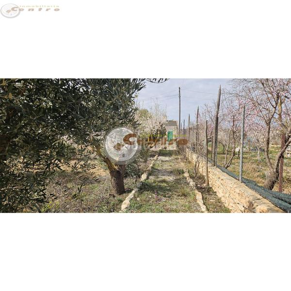 Foto 36c0c27e-1e0f-43e7-9c05-599f806377dd. Terreno residencial terreno en Pozohondo