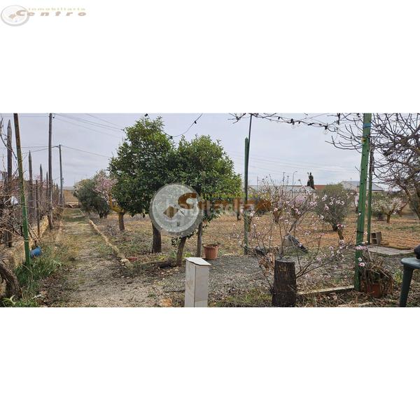 Foto 3d9dbed8-79fc-42d7-b3d7-7b924180ad9e. Terreno residencial terreno en Pozohondo