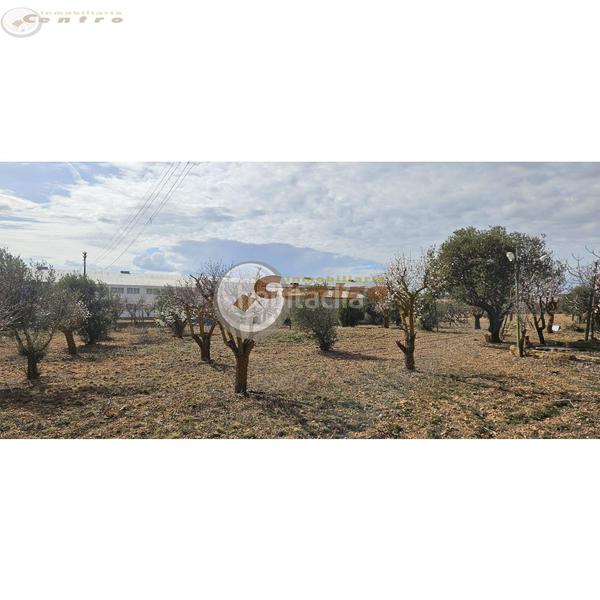 Foto ed3fcaa4-43b2-46d7-9d42-3b3d65c96053. Terreno residencial terreno en Pozohondo