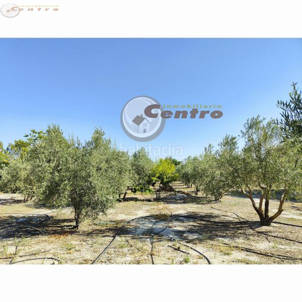 Foto 19a7a44e-908b-4b1a-940b-975010b4586e. Chalet  en Pedanías - Extrarradio Albacete