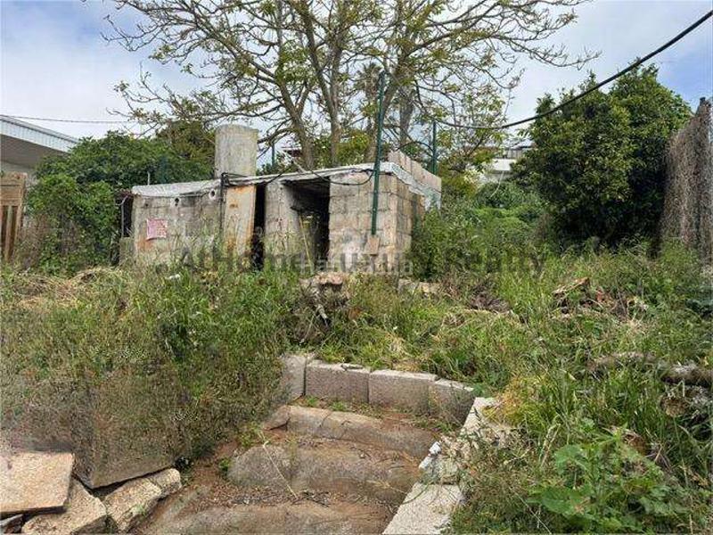 Foto 7e175737-16a5-46a2-89c1-14c6097842bd. Bauernhof in Campo de Golf - Agua García - Juan Fernández Tacoronte