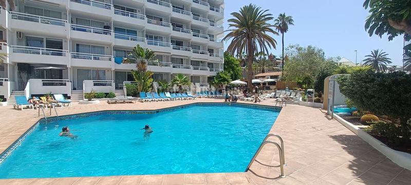 Foto a06f5d2a-a108-4dbb-8d19-94617e5e8aa6. Apartamento complejo ponderosa, varios apartamentos en planta baja reformados de una habitación , todo nuevo a estrenar en Adeje