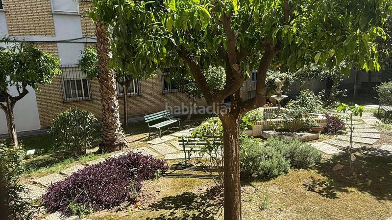 Foto 346476f5-2983-4bea-a570-9a6f3d053d57. Pis a El Cerro Sevilla