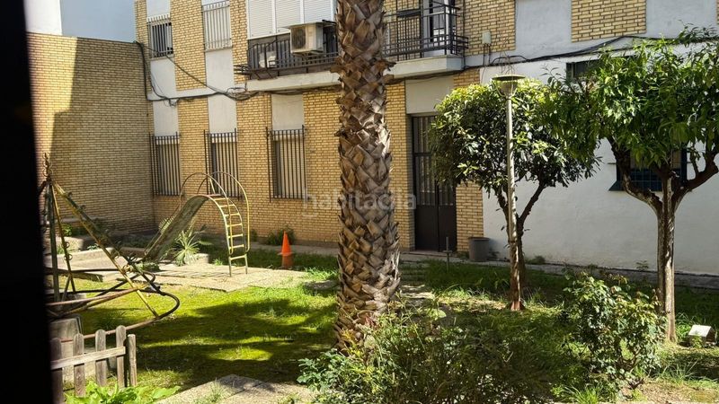 Foto 4259a45e-9d2e-4f85-bafd-c21ce071144a. Pis a El Cerro Sevilla